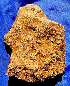 wpe1.jpg (20609 bytes)