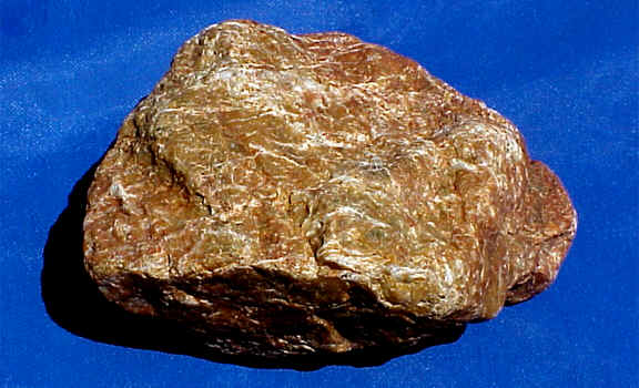 wpe29.jpg (32886 bytes)