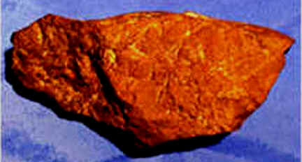 wpe25.jpg (14503 bytes)