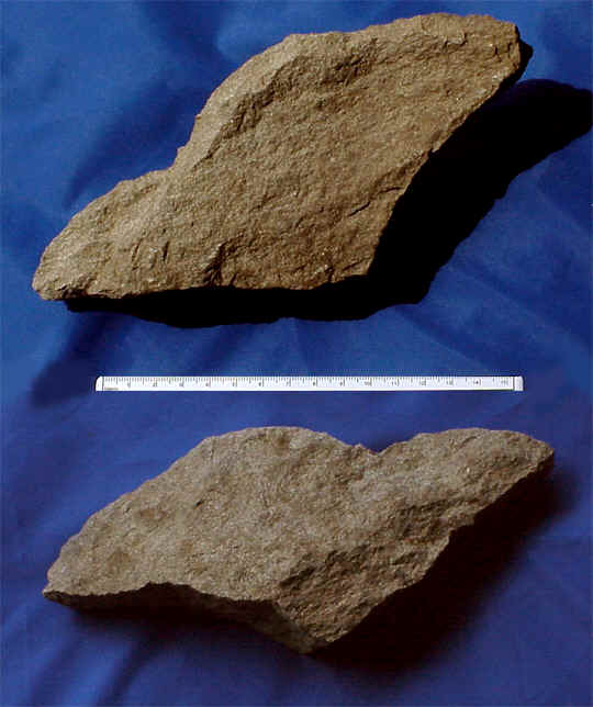 wpe42.jpg (35129 bytes)