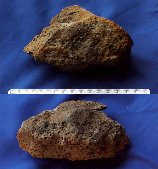 wpe4B.jpg (33268 bytes)