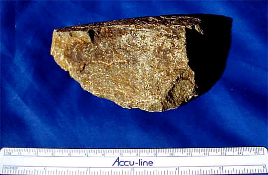 wpe3.jpg (26016 bytes)