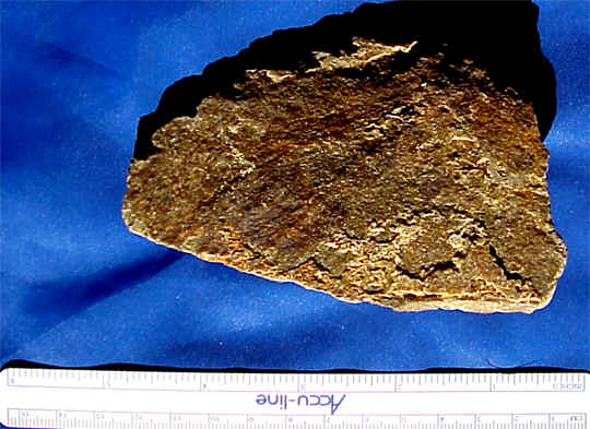 wpe4.jpg (36441 bytes)