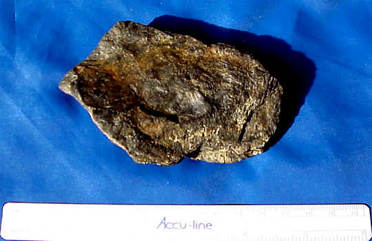 wpe2.jpg (24094 bytes)