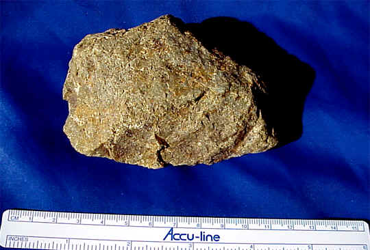 wpe7.jpg (28185 bytes)