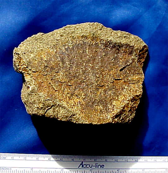 wpe2.jpg (47494 bytes)