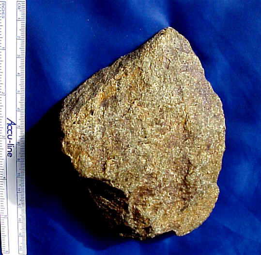 wpe3.jpg (42062 bytes)