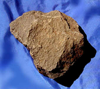 wpeD.jpg (13990 bytes)