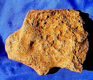 index.4.jpg (22422 bytes)