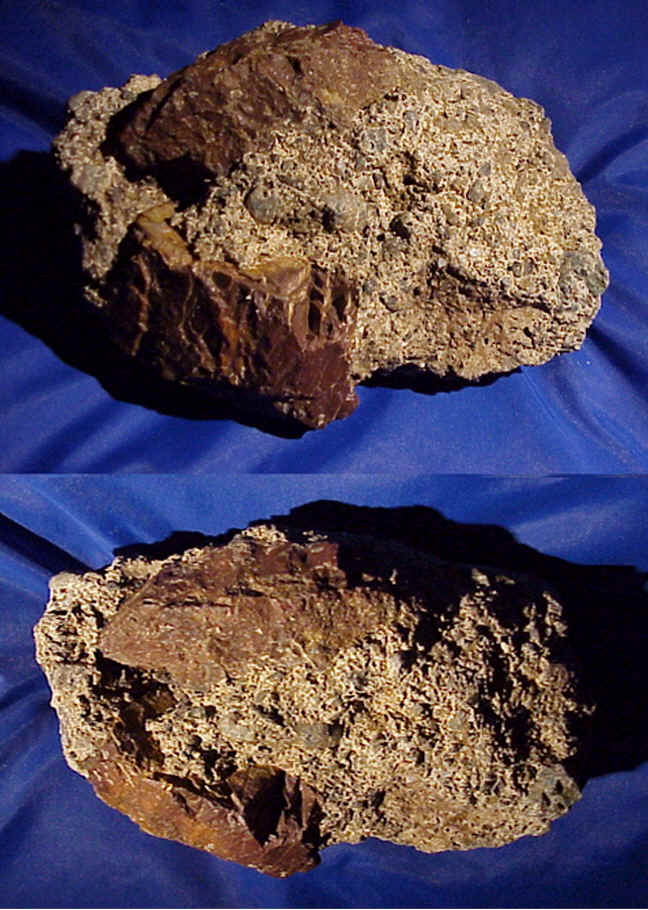 wpe1B.jpg (86982 bytes)