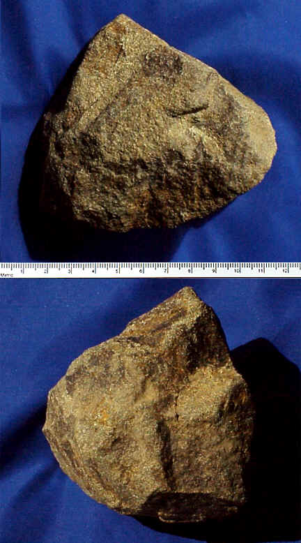 wpe3B.jpg (43335 bytes)