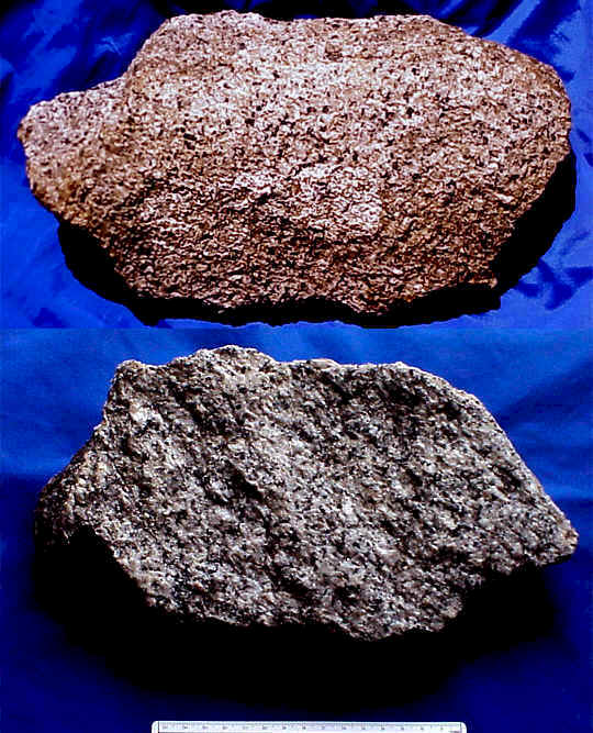 wpe3C.jpg (75155 bytes)