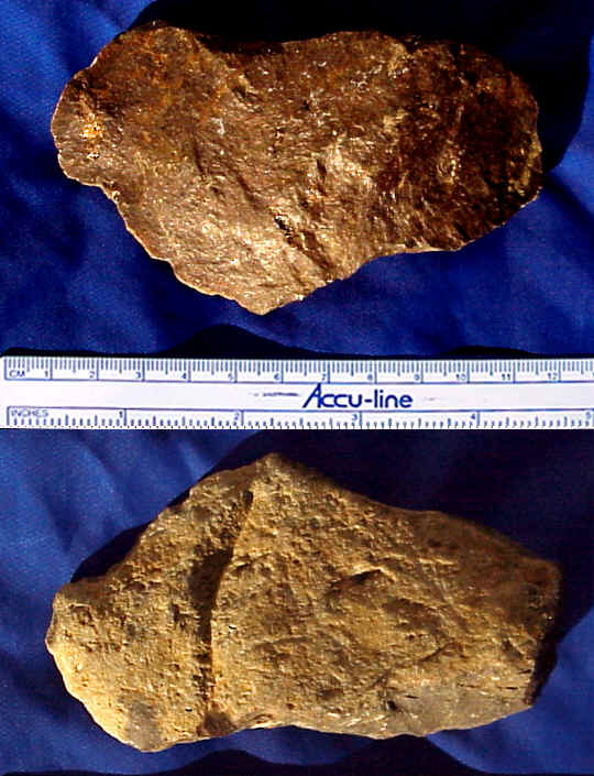 wpe20.jpg (57443 bytes)