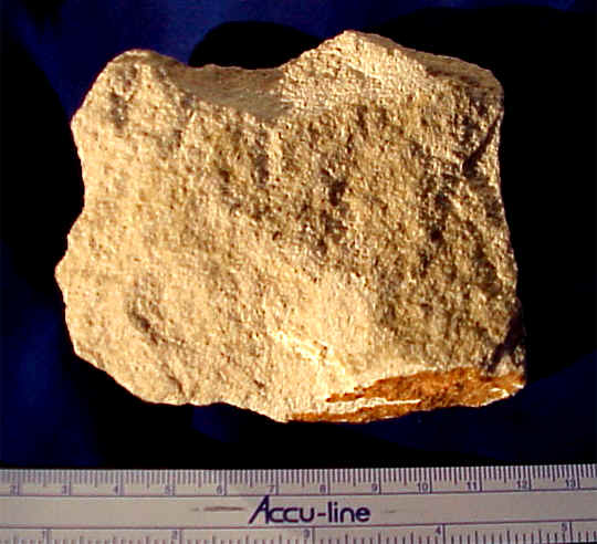 wpeC.jpg (36336 bytes)