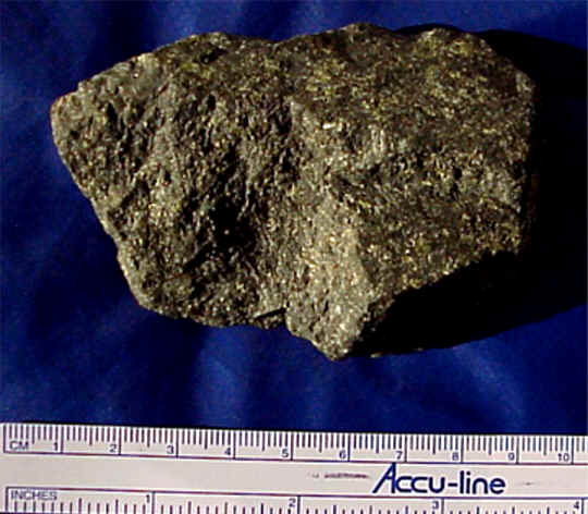 redwoo7.jpg (35197 bytes)